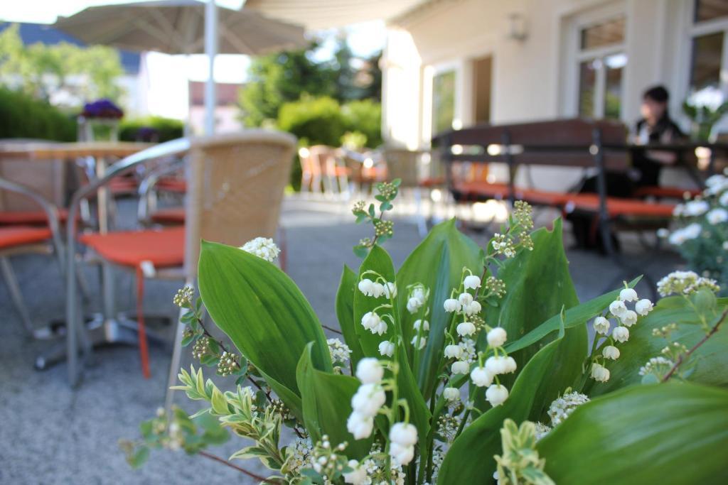Hotel Lindenhof Thiendorf Esterno foto